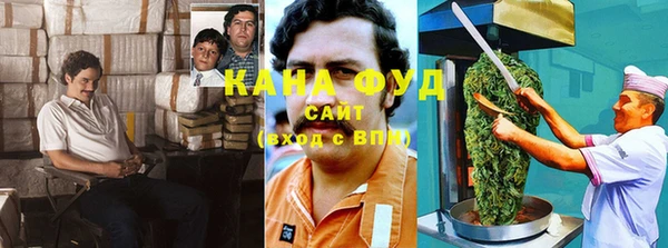 МДПВ Нижний Тагил