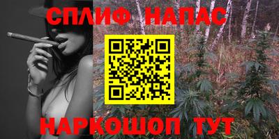 стаф Канаш