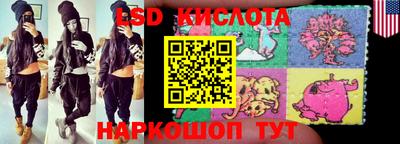 стаф Канаш