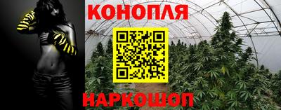стаф Канаш