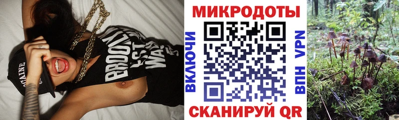 Галлюциногенные грибы Psilocybe  Новый Уренгой 