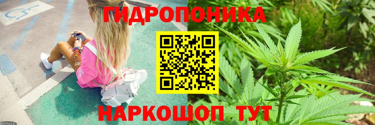Конопля White Widow  Шишки марихуана планчик  Вход с VPN  Каннабис AK-47  Новый Уренгой 